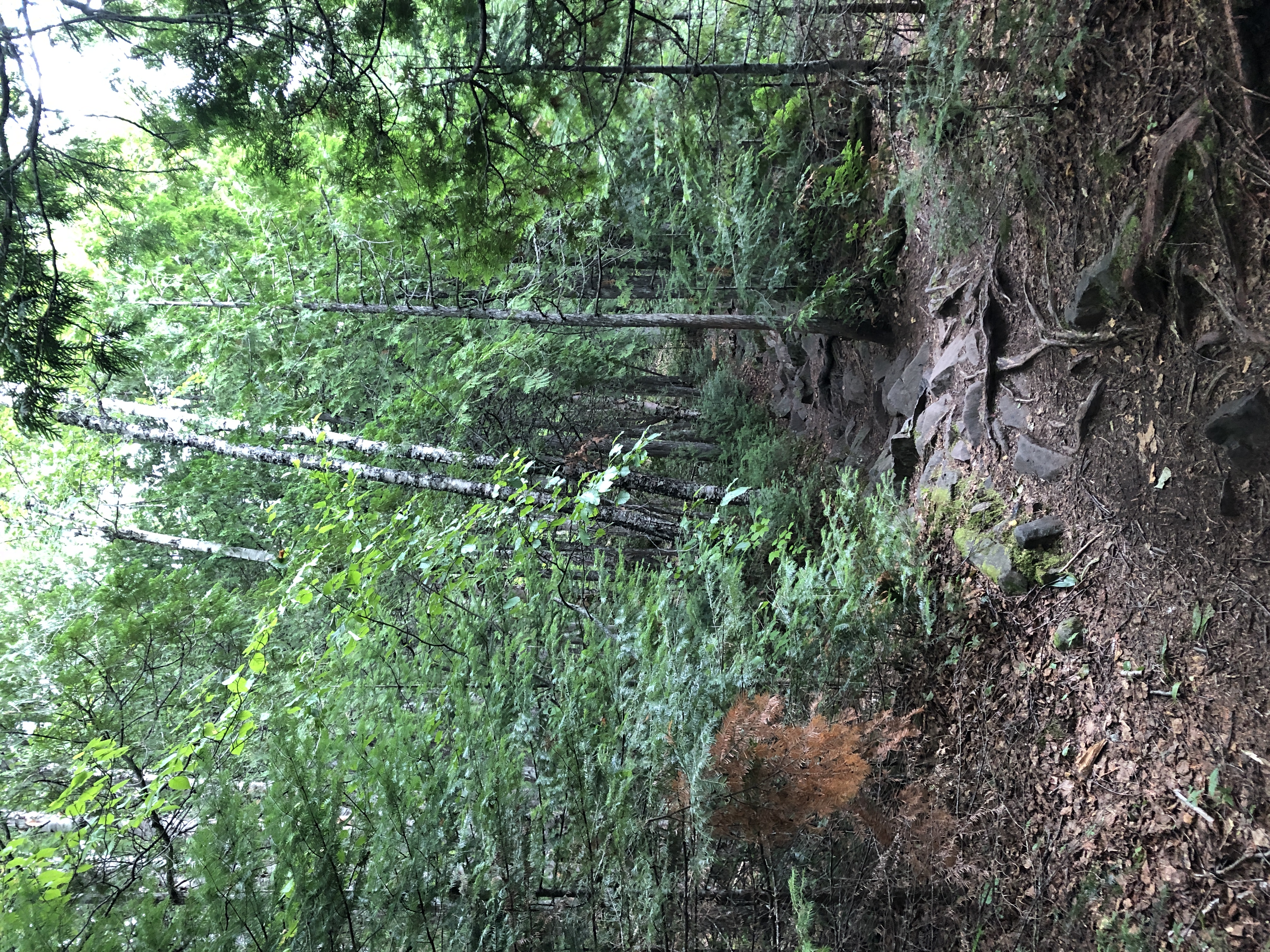 trail