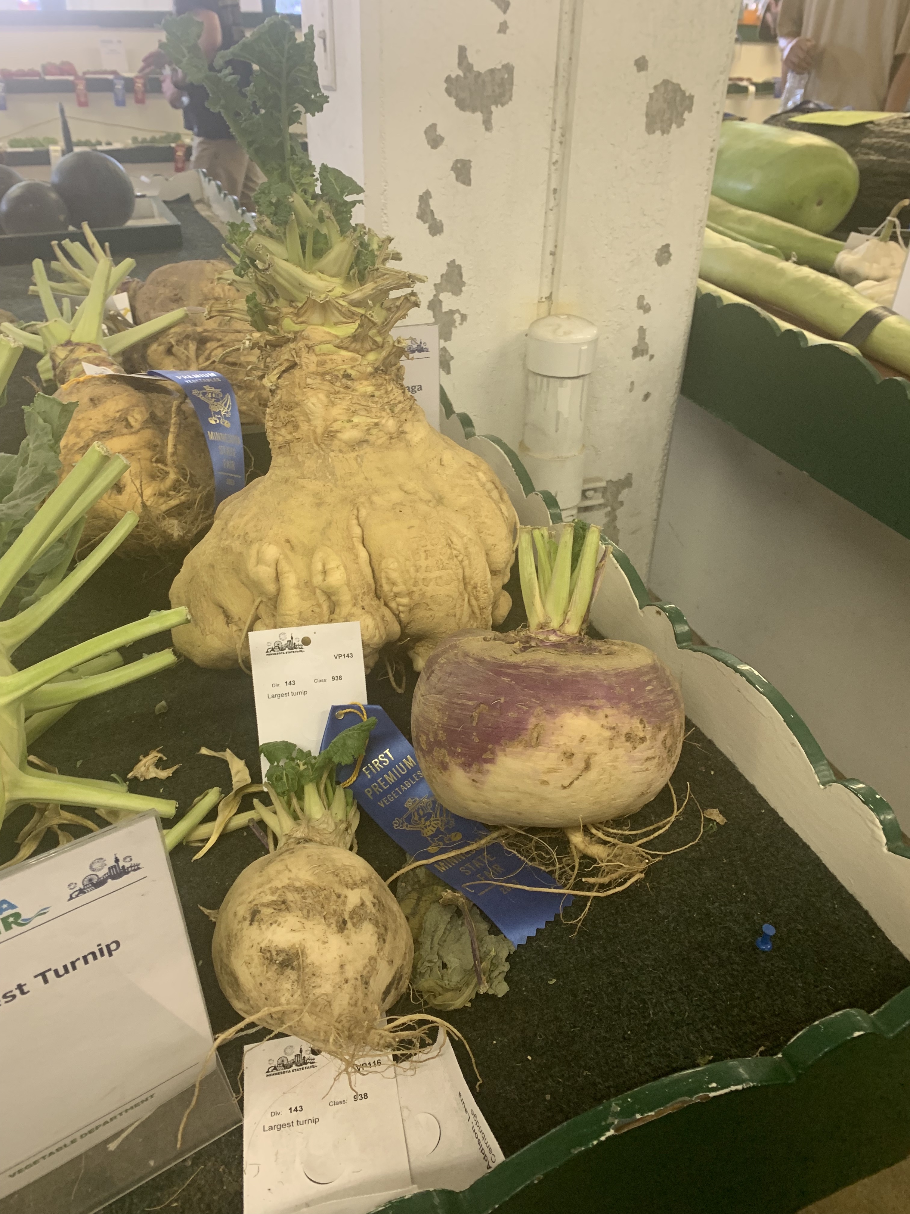 gourds1