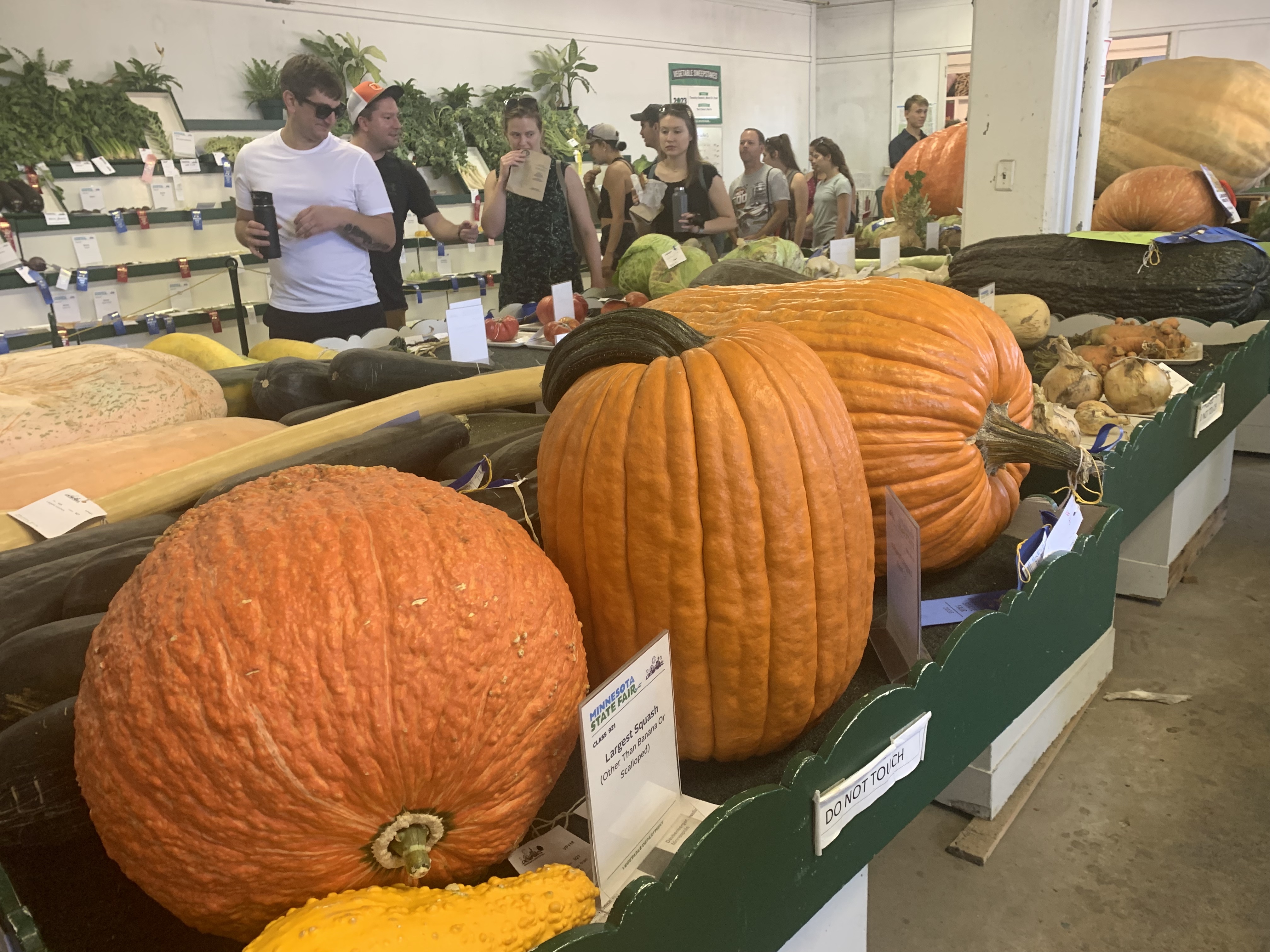 gourds2